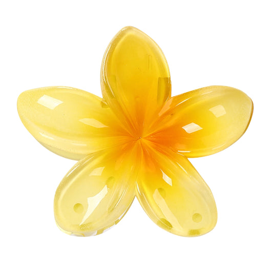 Pince cheveux Floral